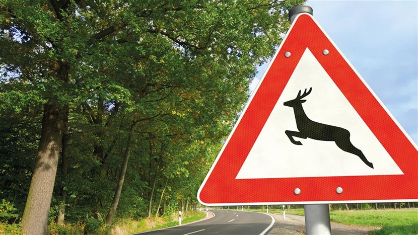 SAM-Vorteil: Wildschadenvergütung